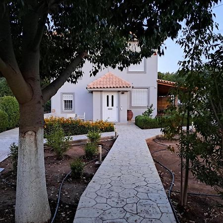 Studio Katafigi Anavyssos Exterior foto