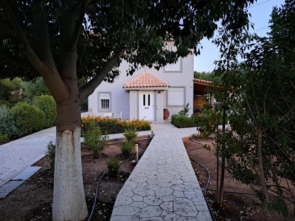 Studio Katafigi Anavyssos Exterior foto